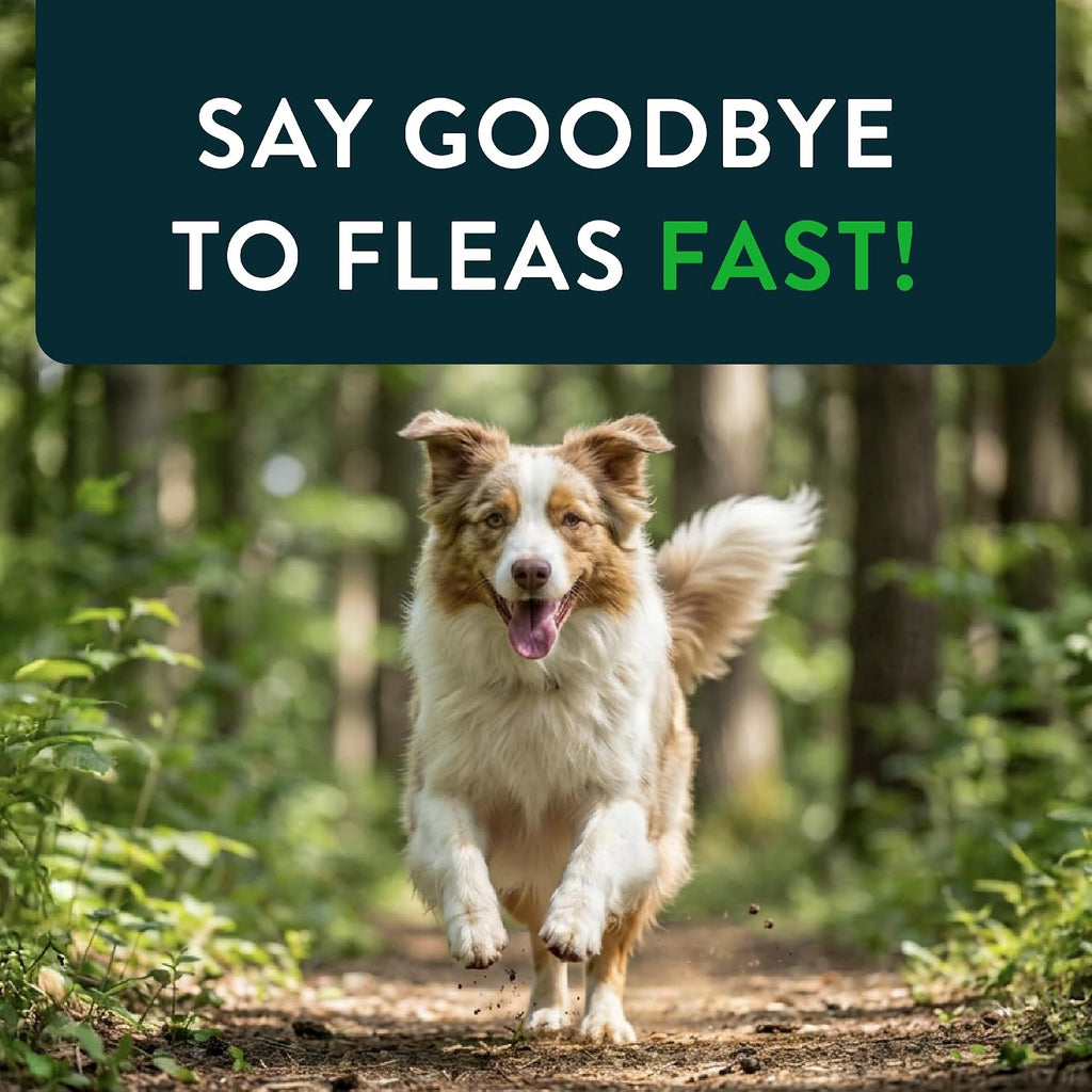 Capstar (nitenpyram) Fast-Acting Oral Flea Treatment for Dogs 2-25 lbs