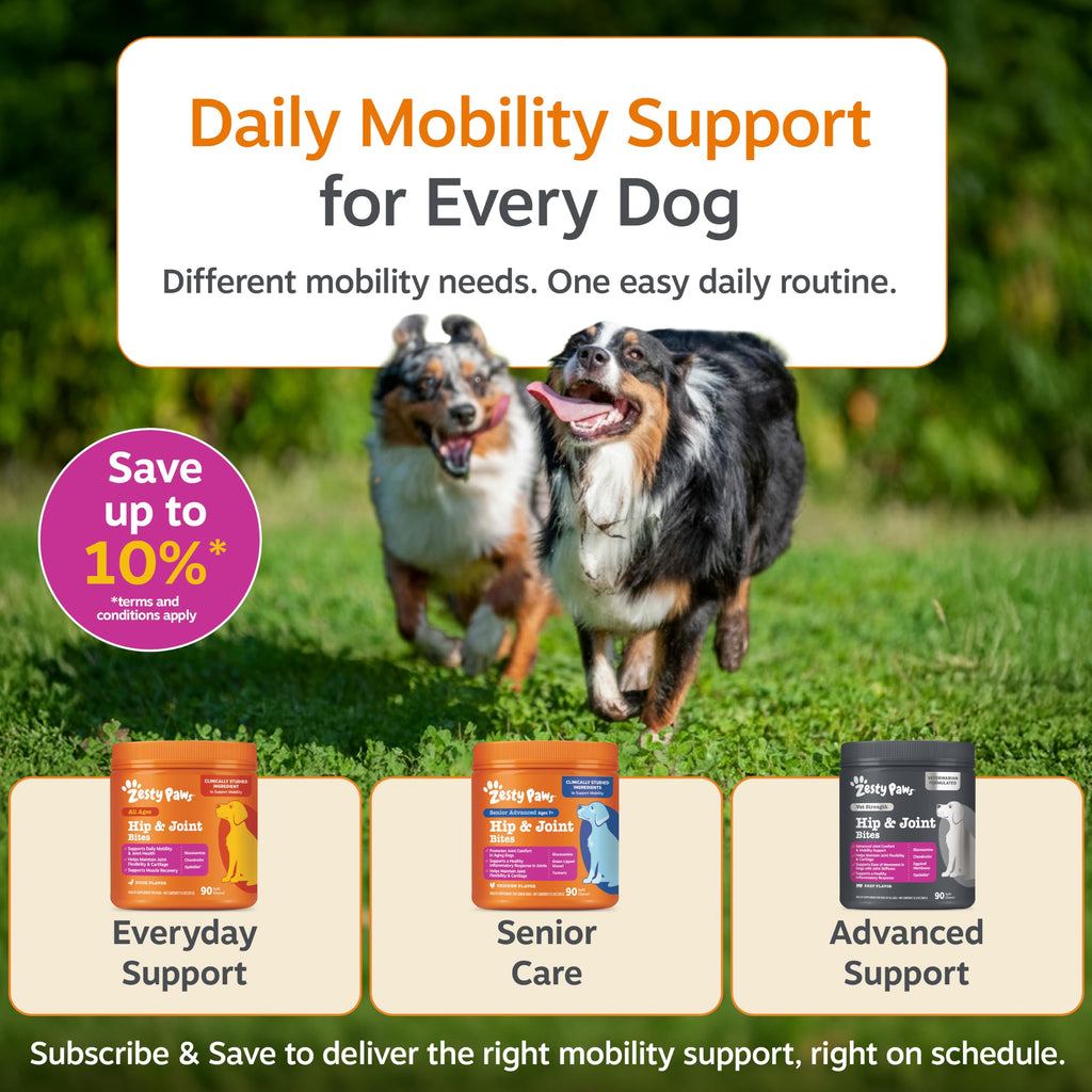 Zesty Paws Glucosamine for Dogs - Dog Joint Supplement, Bacon, 90 Ct