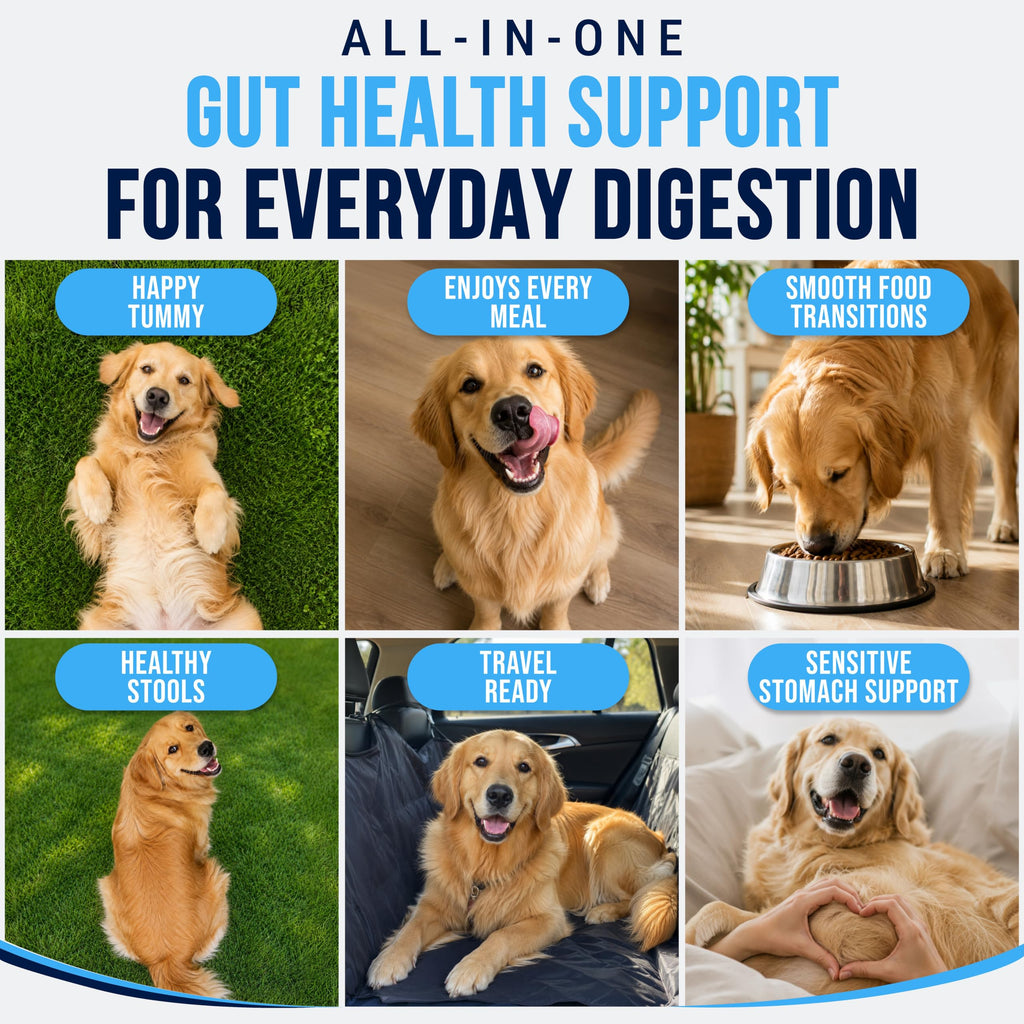 Dog Allergy Relief Chews - Skin Health & Anti-Itch Supplement with Omega-3