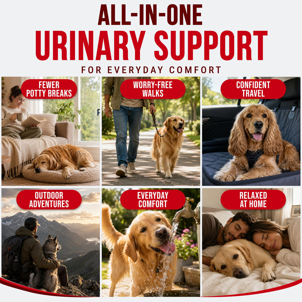 Dog Allergy Relief Chews - Skin Health & Anti-Itch Supplement with Omega-3
