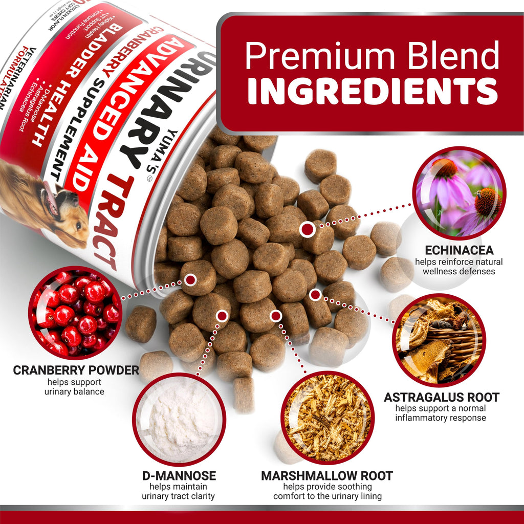 Dog Allergy Relief Chews - 240 Immune Treats, Dog Itching Skin Relief Pills