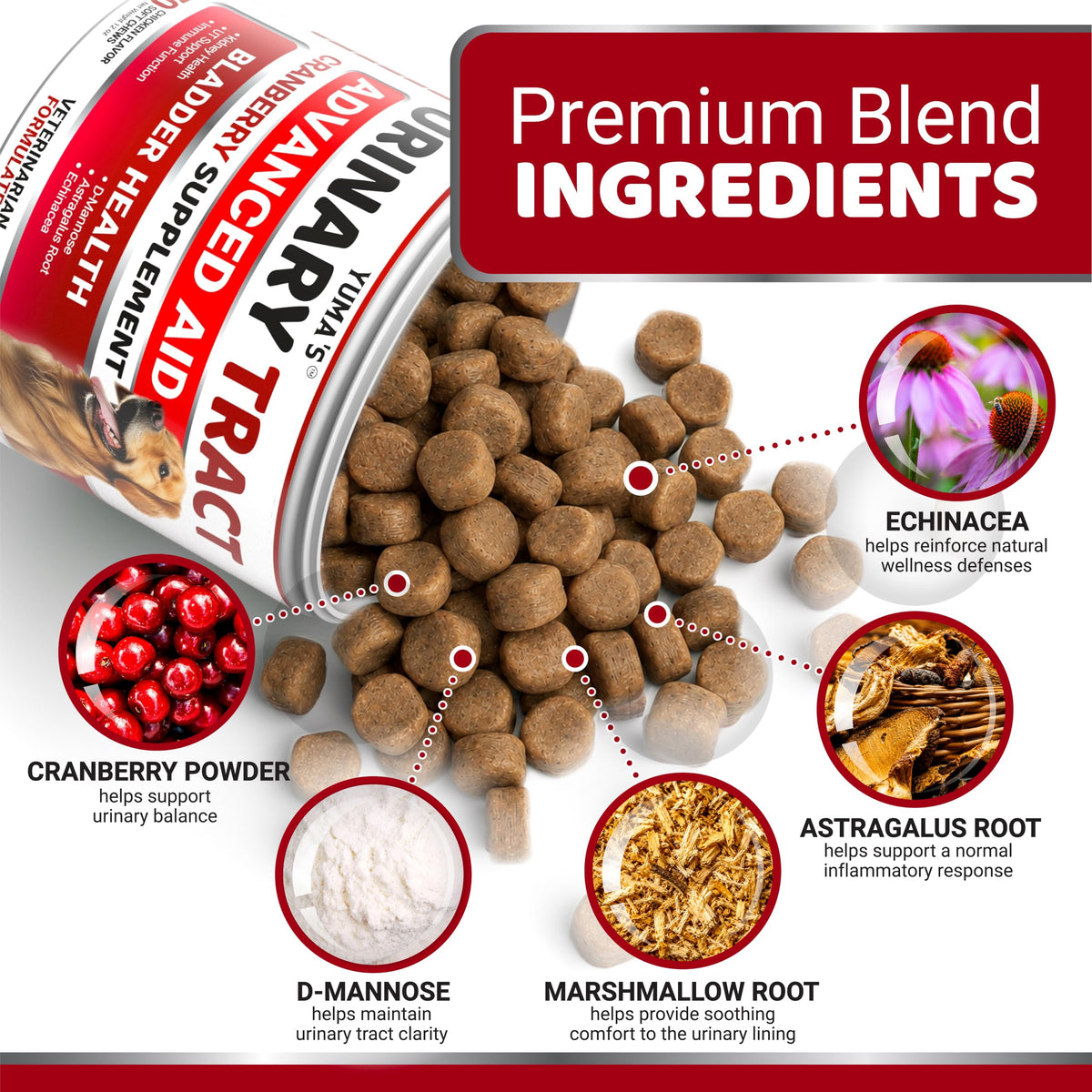 Dog Allergy Relief Chews - 240 Immune Treats, Dog Itching Skin Relief Pills