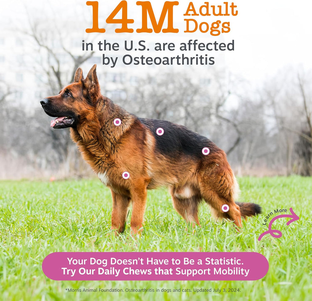Zesty Paws Glucosamine for Dogs - Dog Joint Supplement, Bacon, 90 Ct
