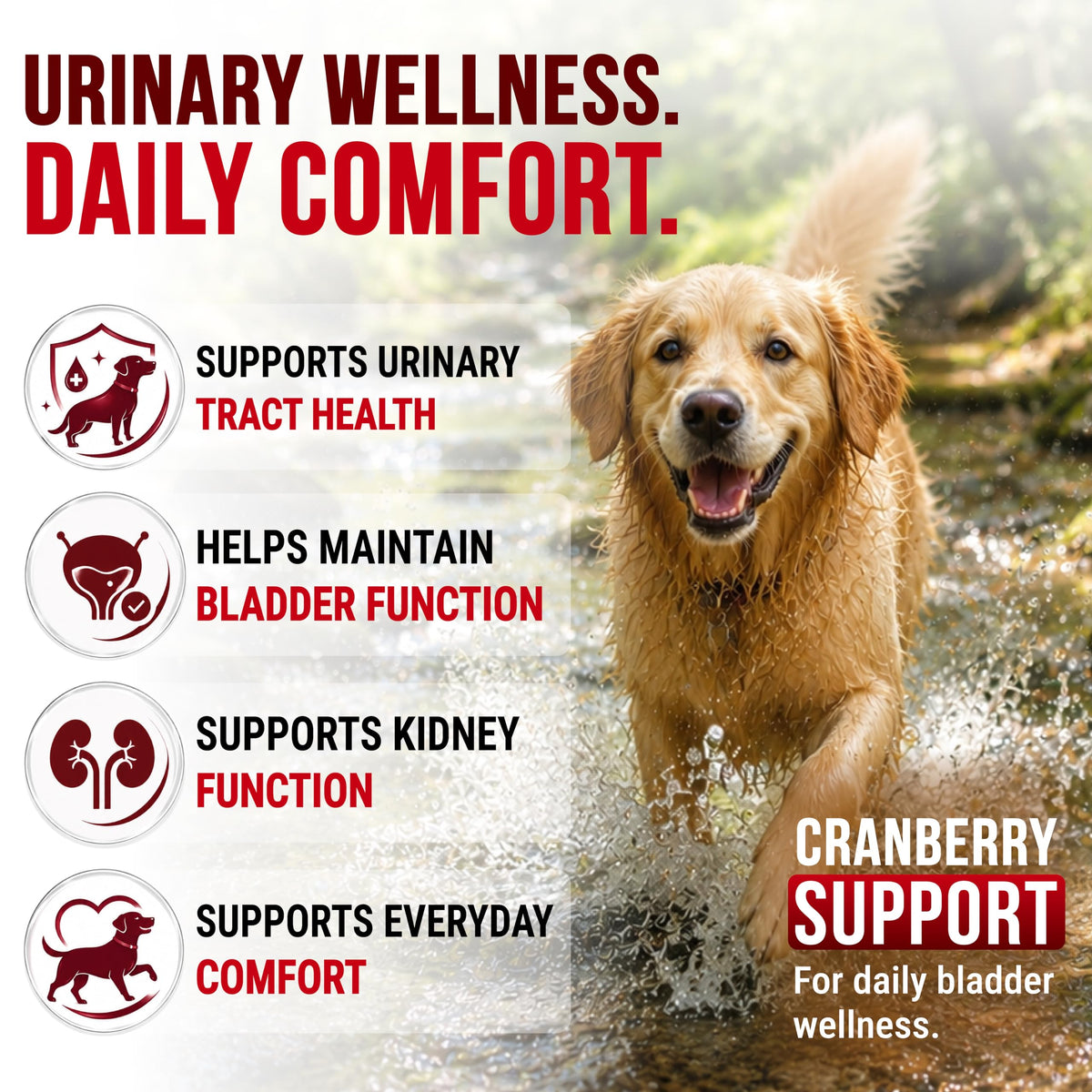 Dog Allergy Relief Chews - Skin Health & Anti-Itch Supplement with Omega-3