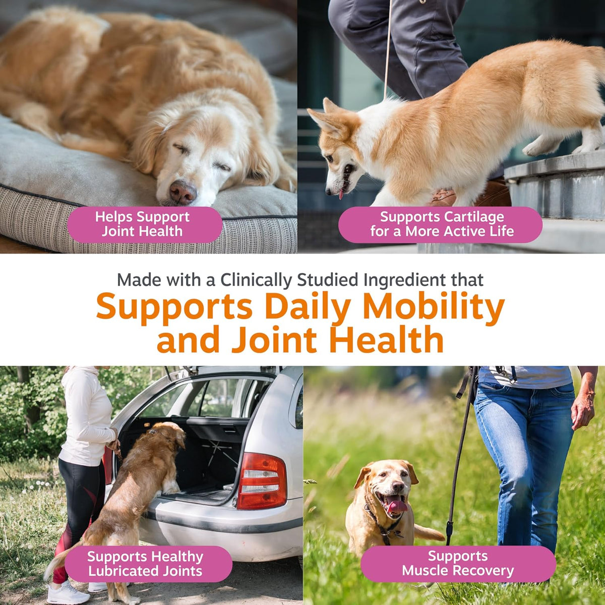 Zesty Paws Glucosamine for Dogs - Dog Joint Supplement, Bacon, 90 Ct