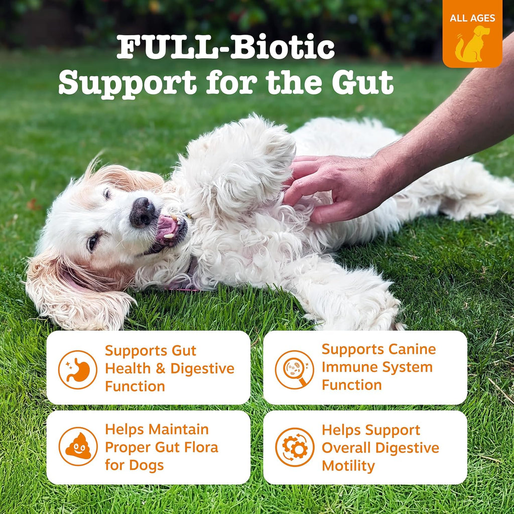 Zesty Paws Probiotics for Dogs - Gut Health Soft Chews, Pumpkin, 90 Ct