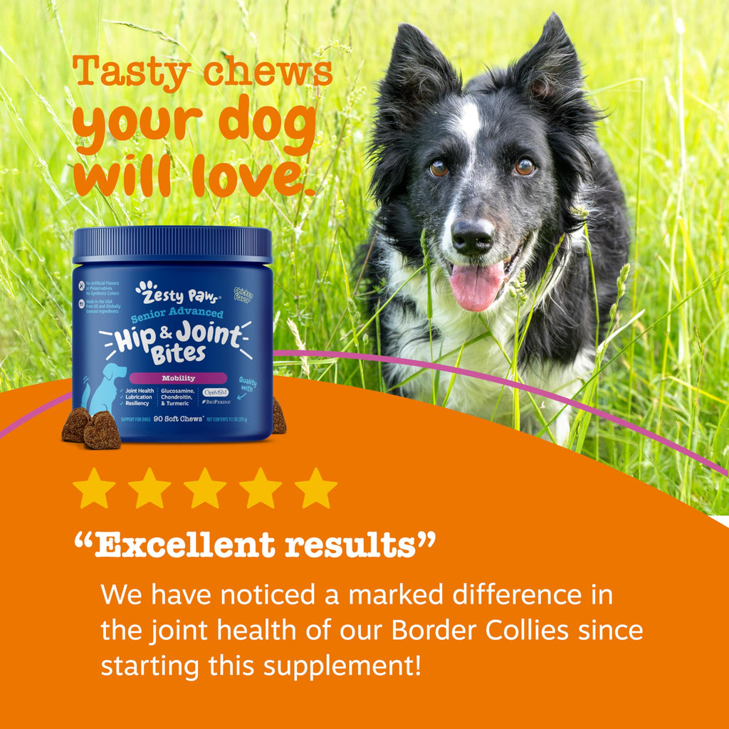 Zesty Paws Glucosamine for Dogs - Dog Joint Supplement, Bacon, 90 Ct