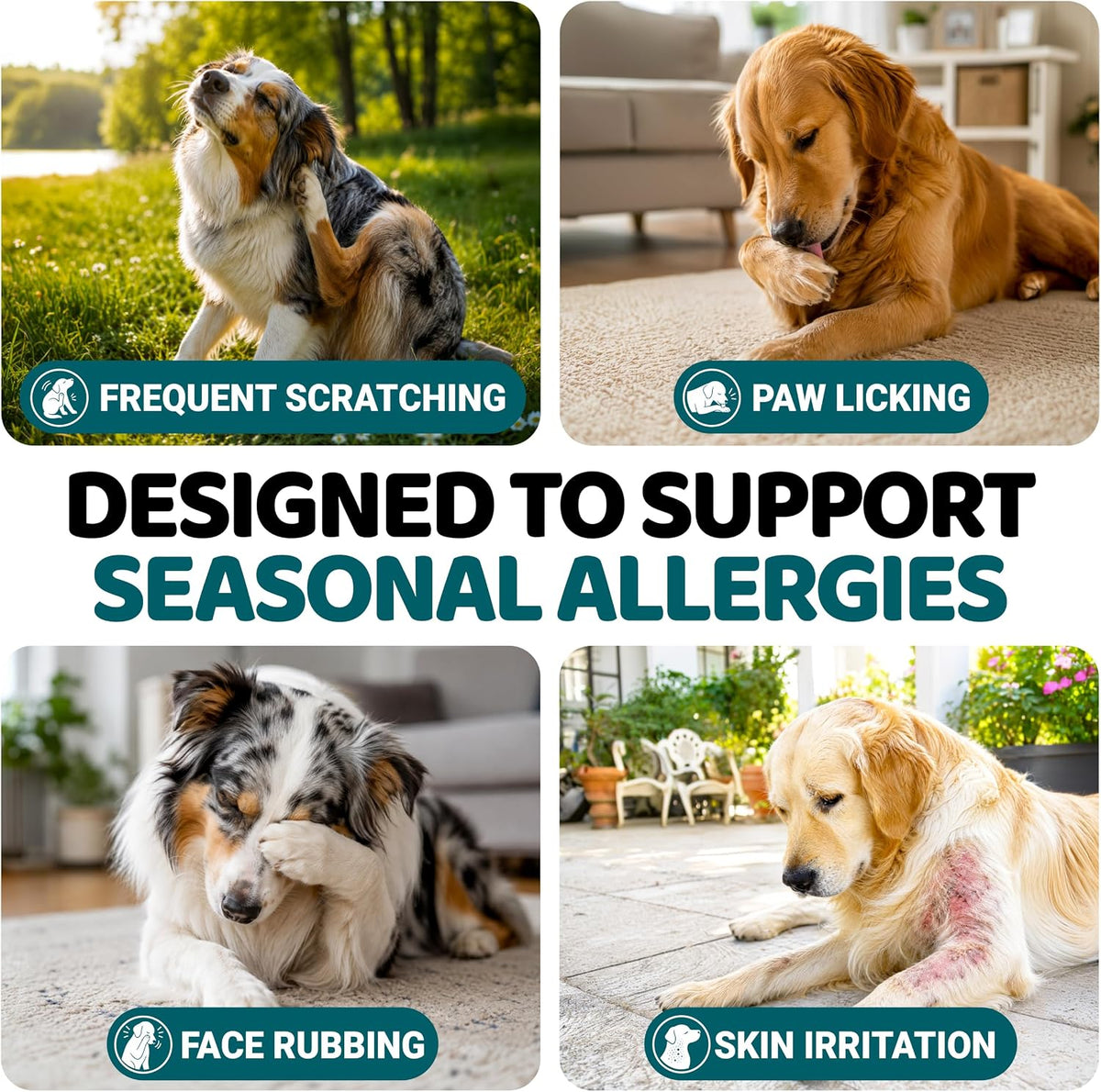 Dog Allergy Relief Chews - 240 Immune Treats, Dog Itching Skin Relief Pills