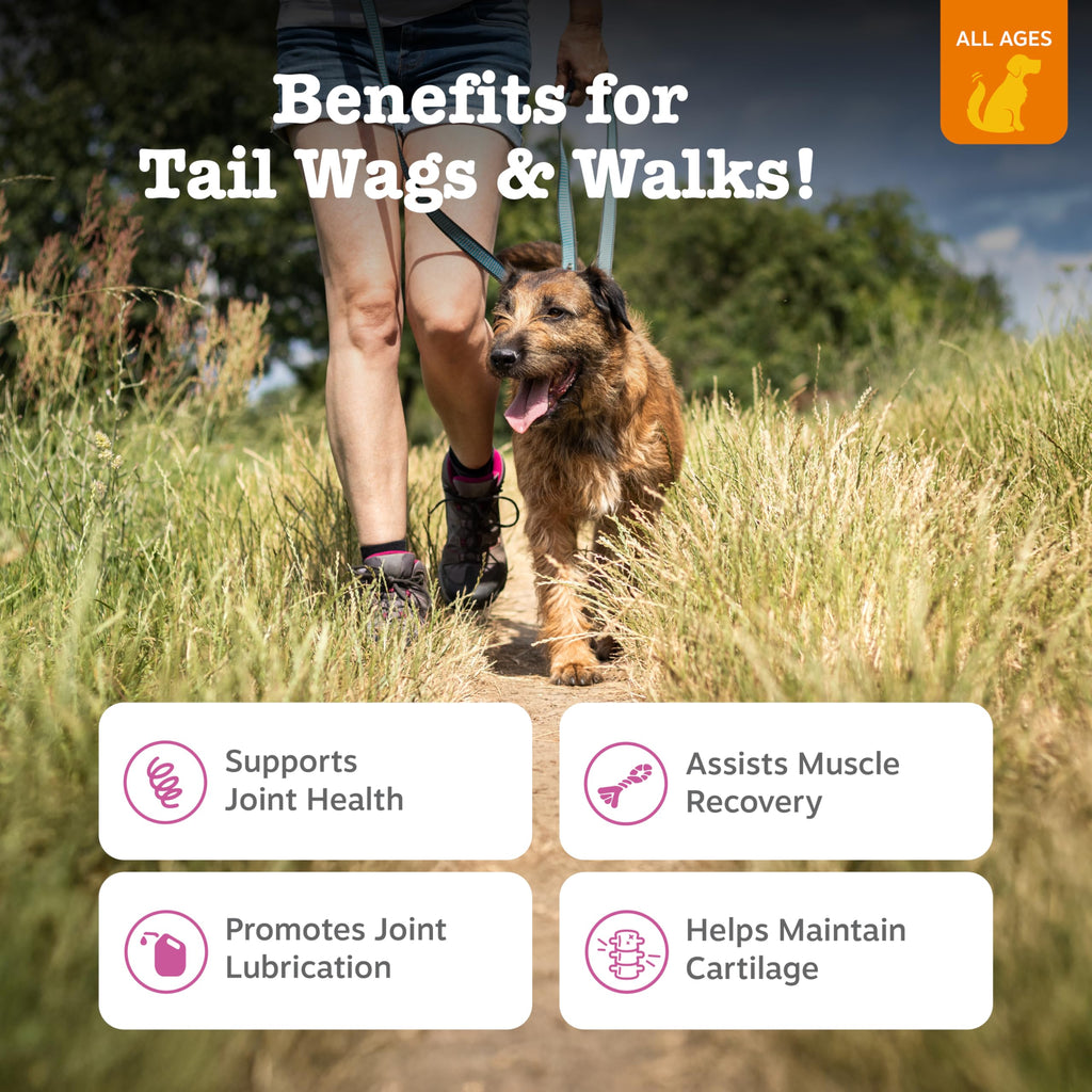 Zesty Paws Glucosamine for Dogs - Dog Joint Supplement, Bacon, 90 Ct