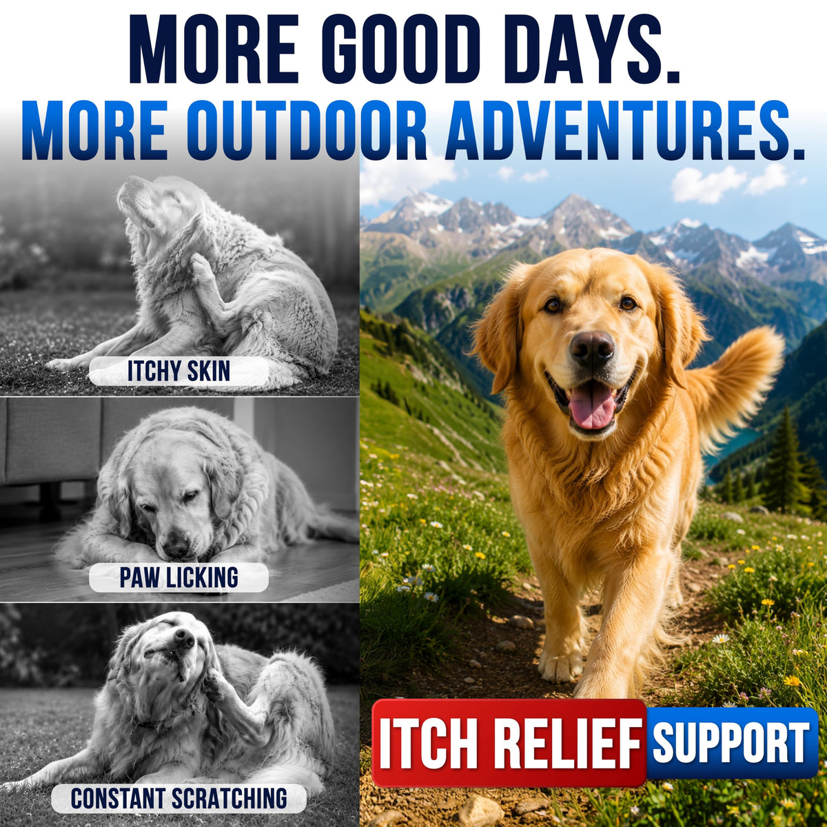 Dog Allergy Relief Chews - Skin Health & Anti-Itch Supplement with Omega-3